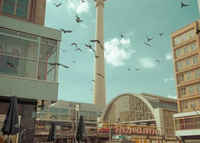 Oomph 3br With Light Tones And Artwork Daire